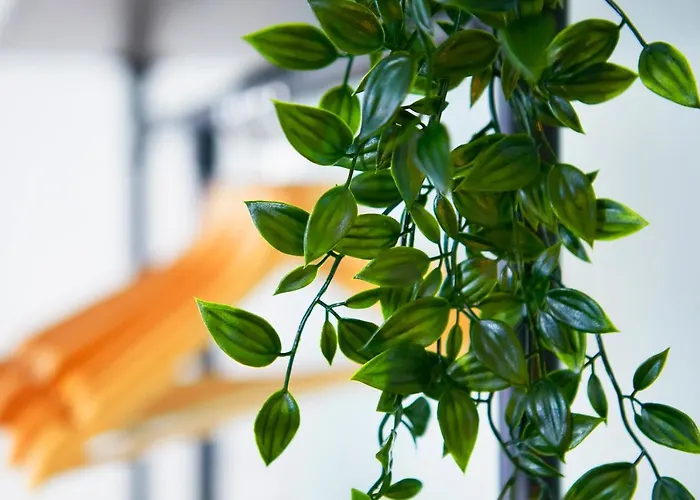 Beautifully Furnished 4-bed Townhouse On South Cliff סקארבורו